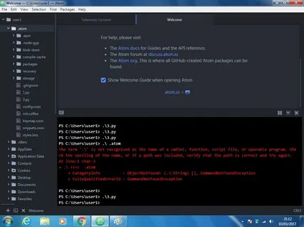 Atom python