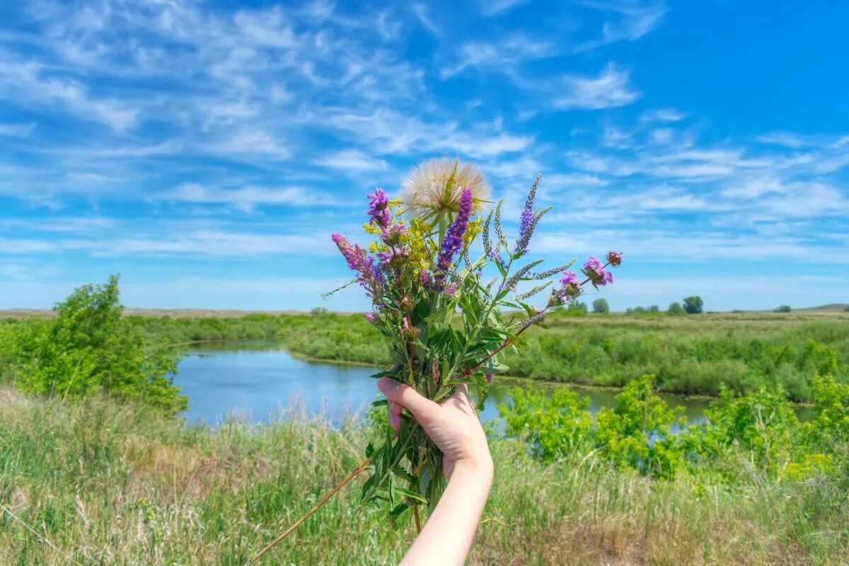 Природа Алтайского края степь. Оренбуржье край родной. Оренбуржье край Благословенный. Родные края Оренбуржья. Слушать ветер в степи словно речке