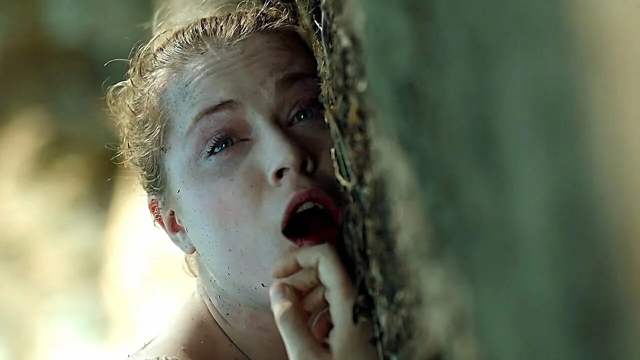 Delphine forest video