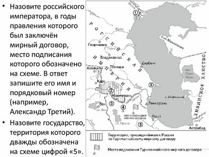 Договор место год