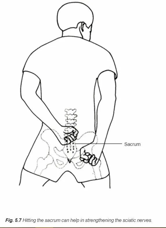 Болит таз мужчины. Вправление позвоночника. Вправление копчика мануальной терапии. Крестец у человека. Самомассаж крестца.