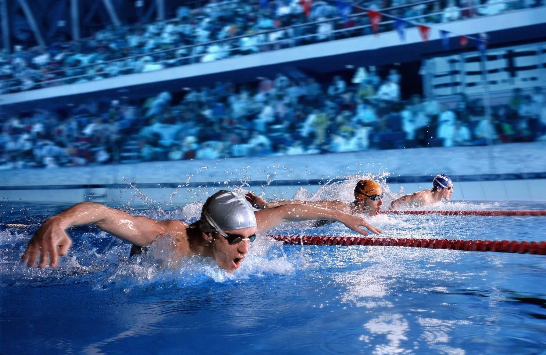 Вв плавание. Фпмо плавание московская область. Стиль плавания на спине. Chubby boy in swimming competition. Вв плавание.