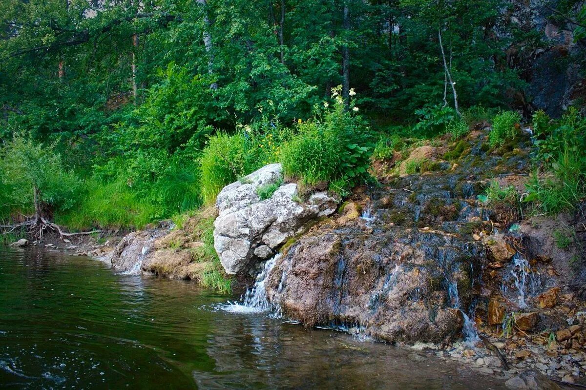 Исток родника. Родник Удмуртии. Природа Удмуртии Родники. Удмуртия Родниковый край Родники Удмуртии. Студёный Родник Удмуртии.