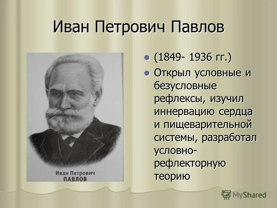 Иван петрович павлов (1849-1936) — учитель теории рефлексов. Ученый изучавший работу пищеварительной системы. Ученый изучавший работу пищеварительной системы. Иван петрович павлов область изучения. Теория ивана петровича павлова.