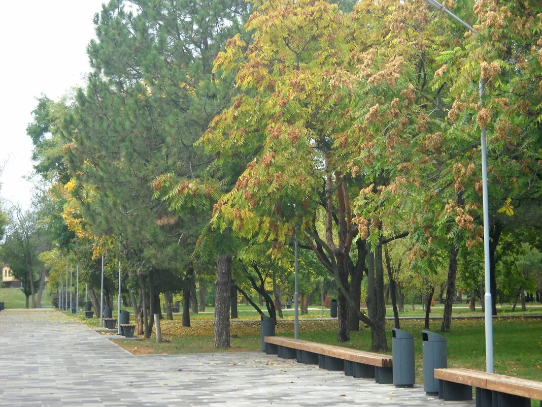 достопримечательности приморского парка в таганроге. парк имени горького таганрог. парк культуры горького в таганроге. скверы таганрога. парк культуры и отдыха имени горького (таганрог).