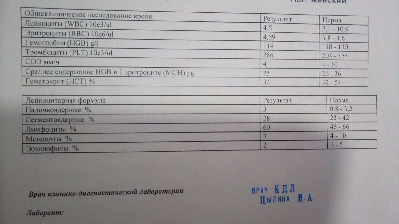 Лейкоциты у мужчин понижены что значит. 2.3 Лейкоцитов в крови это норма или нет. Лейкоциты в крови 3.9. Нормальные показатели лейкоцитов в крови. Лейкоциты в крови таблица нормы.