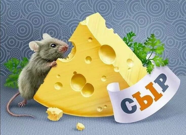Принял мыши. Мышь+сыр. Мышка с сыром. Мышь с куском сыра. Кусочек сыра для мышки.