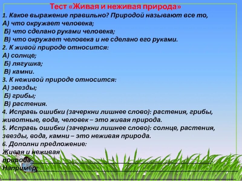 Все что окружает человека называется