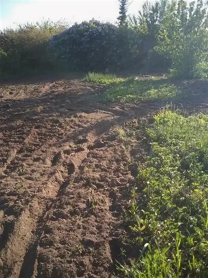 Продается сад. Огород гектар. Сдам огород в аренду. Сдам огород в аренду. Надпись огород на окне.