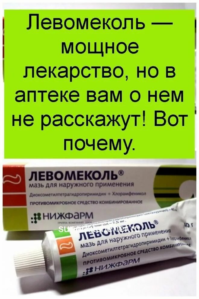 Левомеколь при наружном геморрое. Противомикробные мази Левомеколь. Антибактериальные мазилевомиколь. Левомеколь — мощное лекарство, но в аптеке вам о нем не расскажут!. Антибактериальные мази Левомеколь.