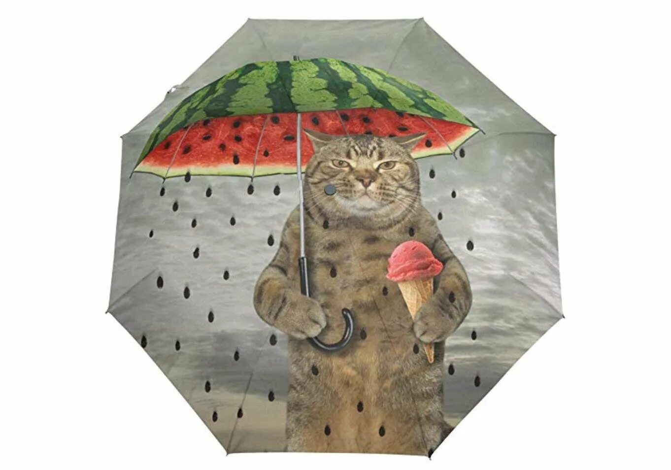 Котик с зонтиком. Зонт с котиками. Зонт с котом. Зонт с кошками. Котики зонтики