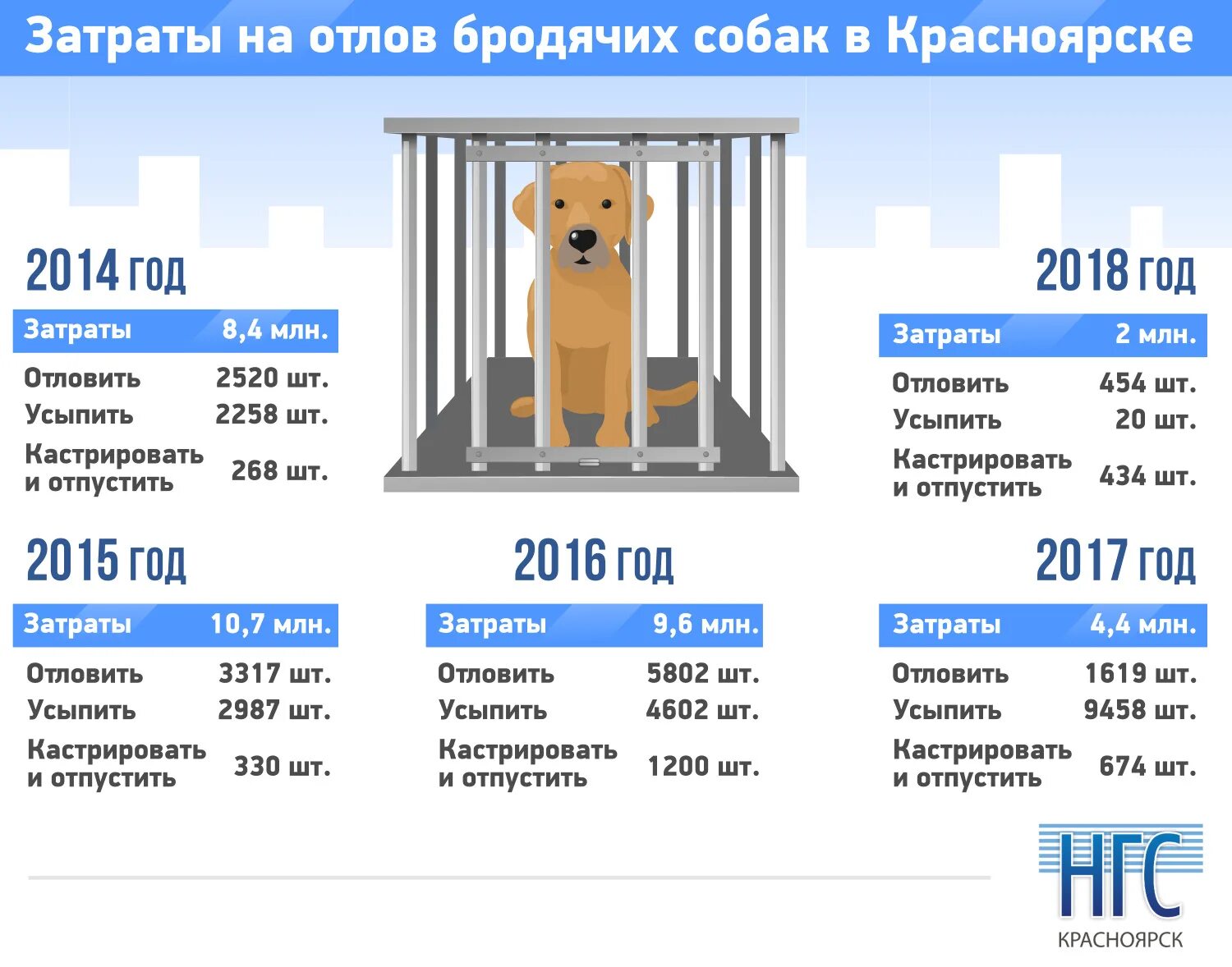 Статистика животных в россии. Численность бездомных животных в Красноярском крае. Статистика бездомных животных. Сколько бездомных животных в России. Статистика бездомных собак в России.