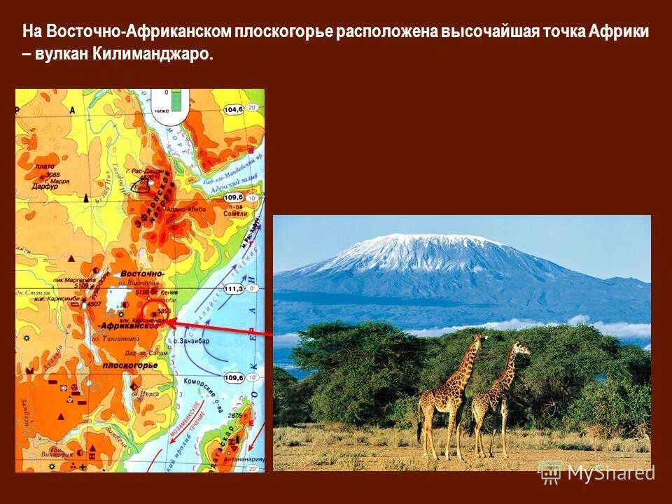 Восточное плоскогорье африки. Африка Восточно африканское плоскогорье. Восточно африканское Нагорье на карте Африки. Восточно-африканское плоскогорье рельеф. Вочюстрчноиафриканское плоскогорье.