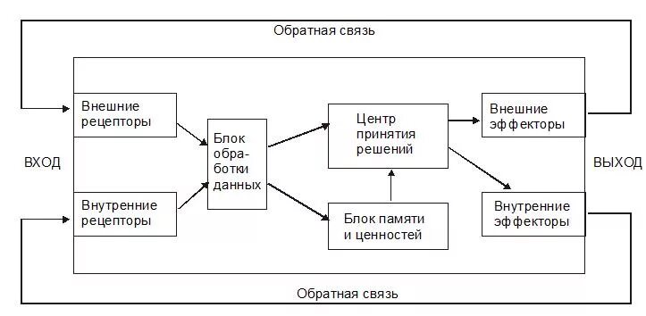 Теоретические модели систем. Модель Дойча политические коммуникации. Дойч модель политической коммуникации. Информационно-кибернетическая модель политической системы к. Дойча.