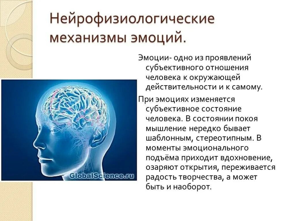 Психофизиологический процесс человека. Нейрофизиология эмоций. Механизм формирования эмоций. Нейрофизиологические механизмы. Нейрофизиологические механизмы эмоций физиология.