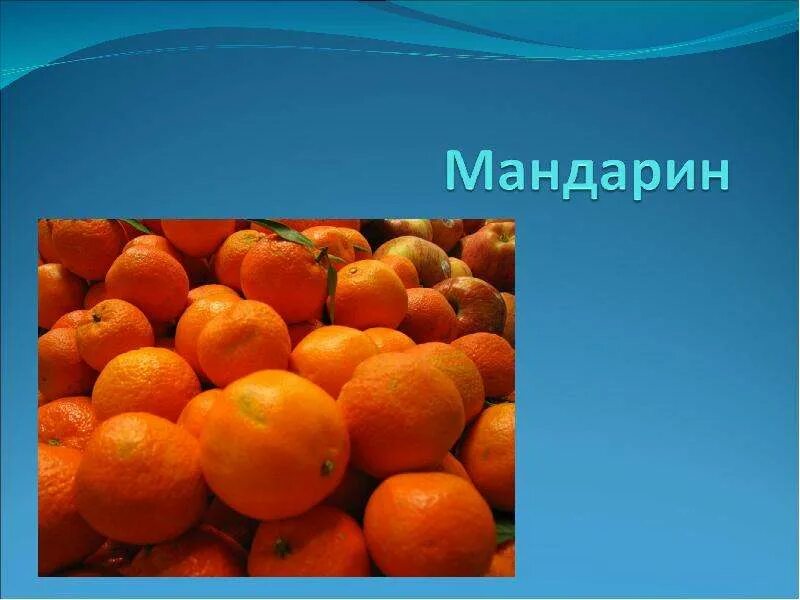 Презентация на тему мандарин. Мандарин для презентации. Проект мандарин. Проект на тему мандарин.