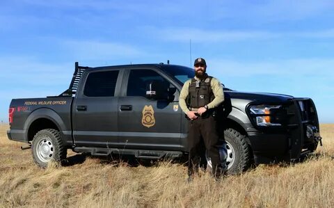 Wildlife services
