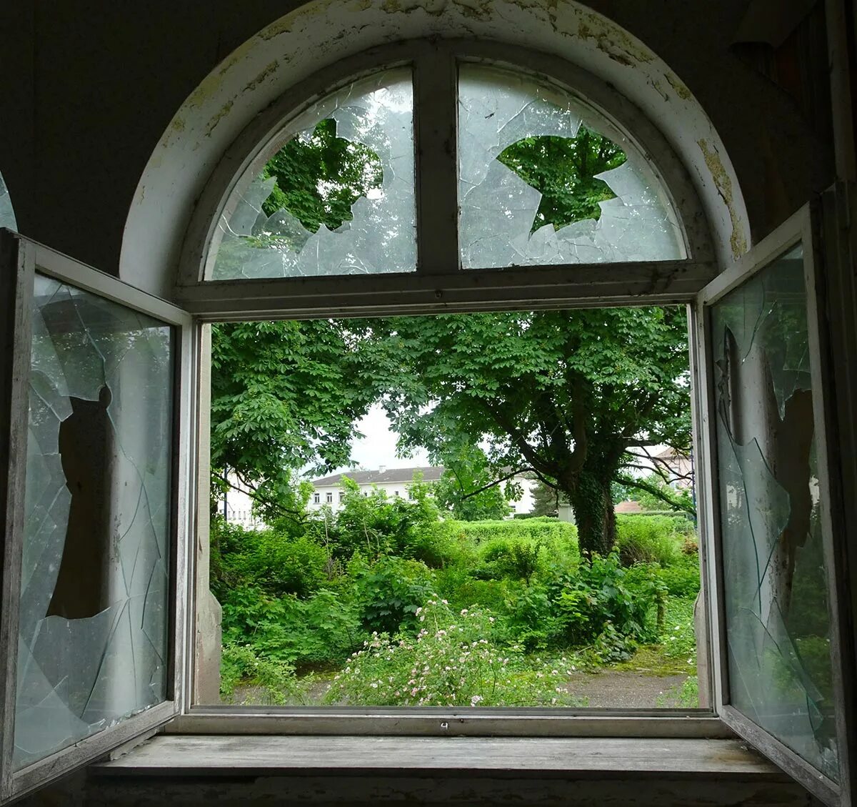 Window forums forum. Старинные арочные окна. Открытое окно. Вид из старого окна. Старинное открытое окно.