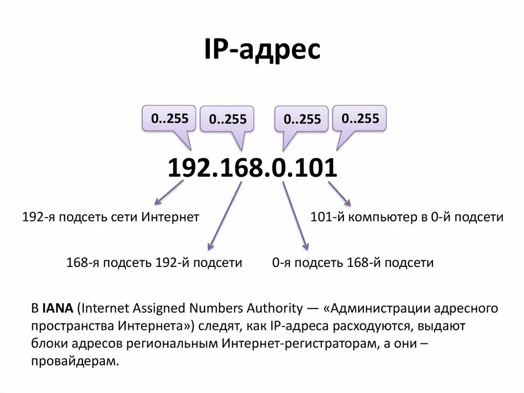 Как определить IP адресация. IP address как выглядит. Как выглядит айпи адрес. Как расшифровать IP адрес. Сетевые адреса интернет