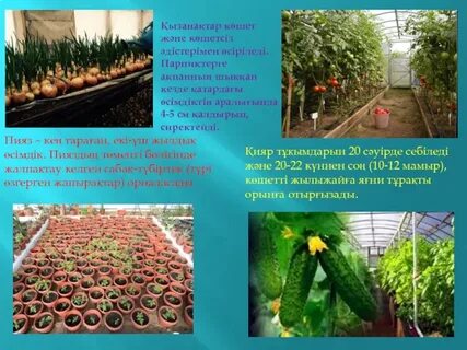 Желіде адамдар алдында ашық секс