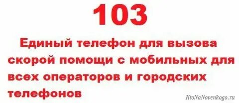 Скорая с мобильного телефона великий новгород