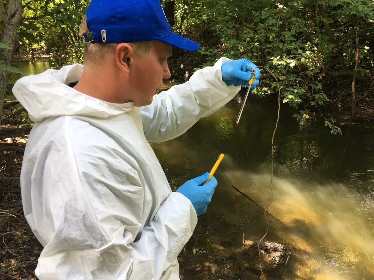 Экологическое качество воды. Мониторинг водных объектов. Экологический мониторинг. Государственный мониторинг водных объектов. Экологический мониторинг водных объектов.