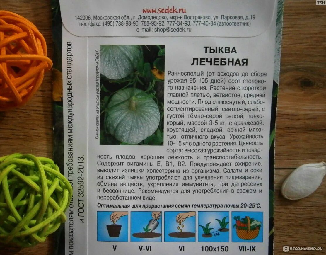 Лечебные сорта тыкв. Тыква сорт лечебная. тыква лечебная описание сорта. тыква лечебная кустовая. тыква лечебная описание и фото.