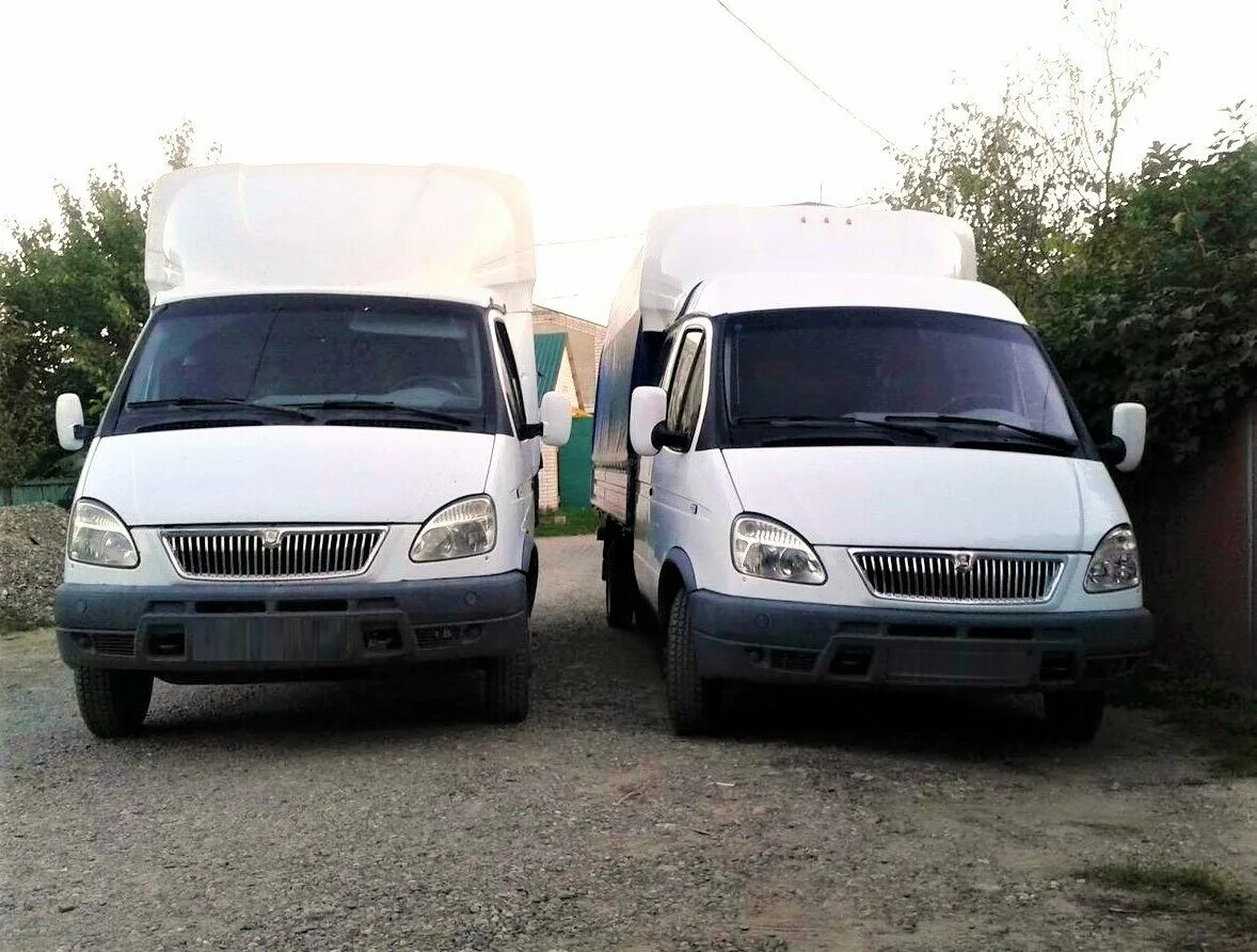 газель 28180000010, 2007. газ 3302 2007. авито тула область газель. газель 0 3. газель 3302 фото.