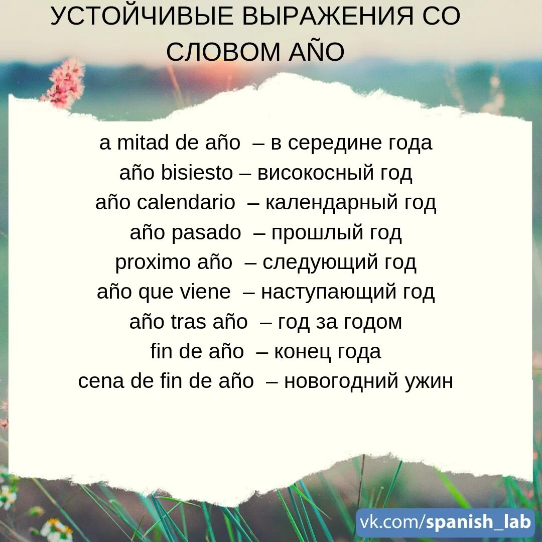 Устойчивое словосочетание слов. Устойчивые выражения. Устойчивые фразы. Слова устойчивые фразы. Устойчивые выражения на испанском.