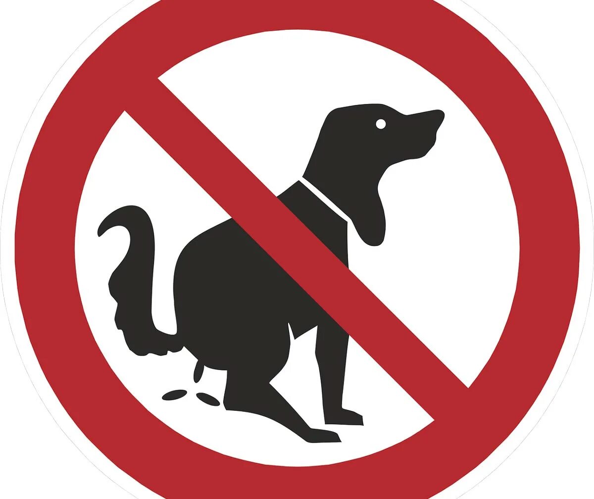 Постер caution cat at play. At sign животные. Правило безопасности при общении с животными. Домашние животные для детей. Animal safety.