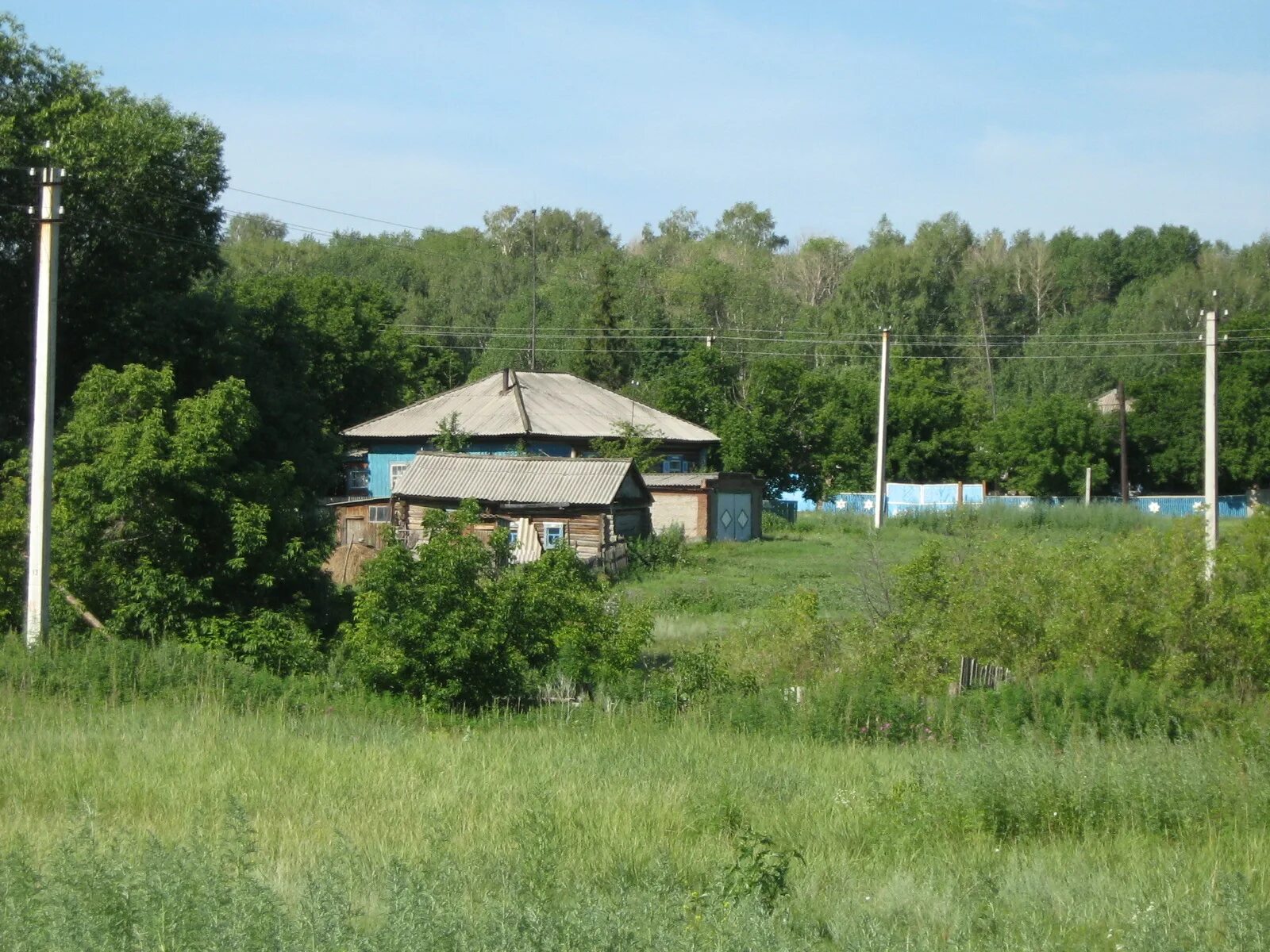 Погода алтайский край село новокормиха