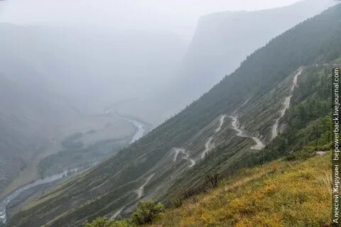 Алтай опасная