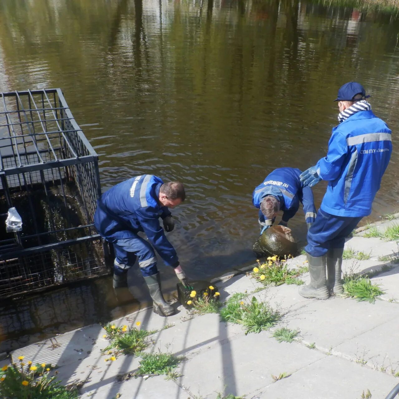 одинцово очищение