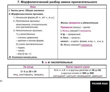 Морфологический разбор глагола прилагательного существительного 6 класс