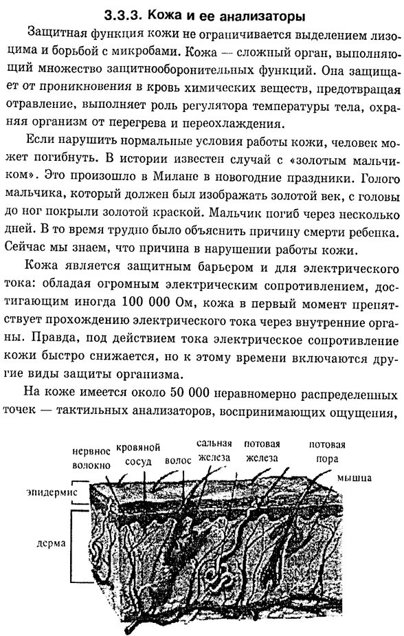 Периферический отдел тактильного анализатора. Тактильный анализатор характеристика. Тактильный анализатор характеристика. Тактильный анализатор. Тактильная сенсорная система.