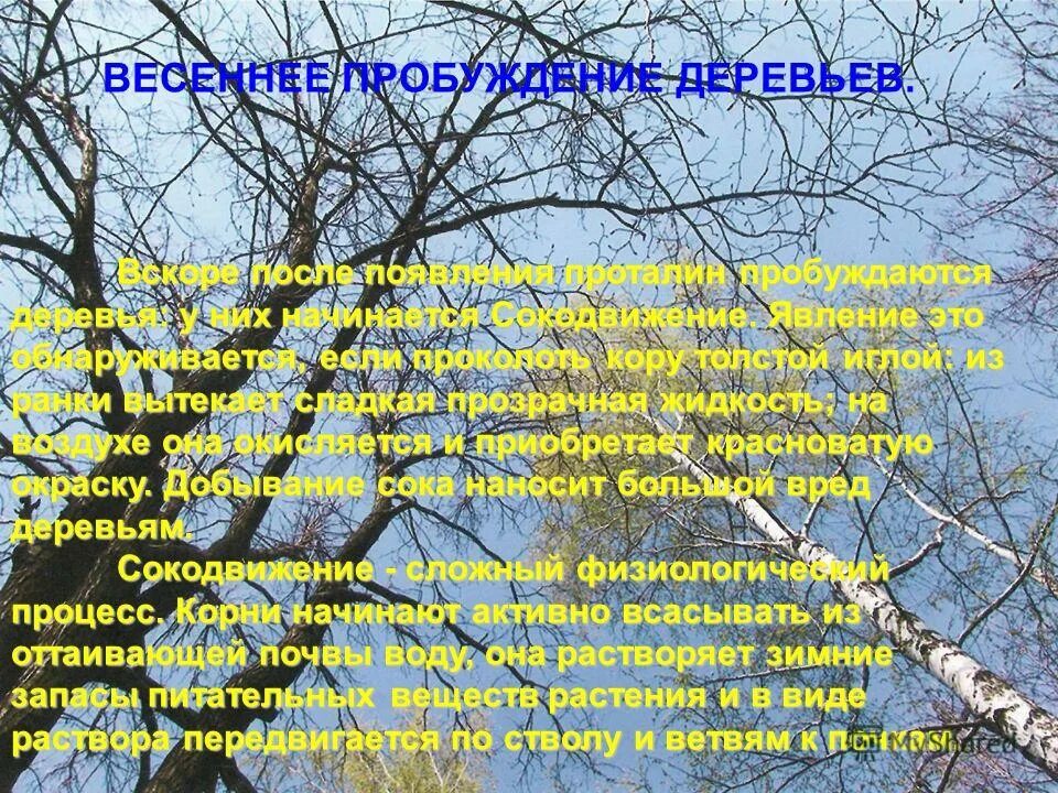 Весенние явления природы. Весенние явления в жизни природы. Сезонные явления в природе весной. Весенние явления в неживой природе весной. Весенние явления природы 2 класс окружающий