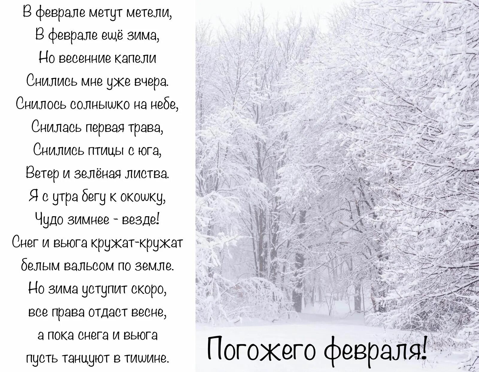 Пурга стихи. Стихи про февраль. В феврале метут метели. Февраль зима стихи. Стих в феврале метут метели.