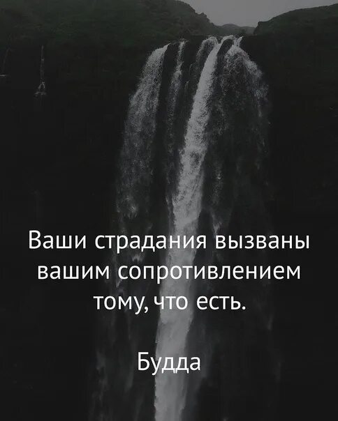 Написала что страдает. Страдания вызваны вашим сопротивлением. Ваши страдания вызваны вашим сопротивлением тому что есть. Фразы о страдании. Ваши страдания вызваны вашим сопротивлением тому что есть Будда.