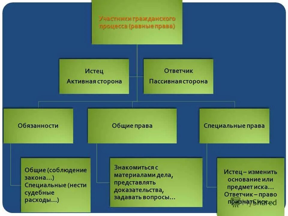 Сравнительную характеристику прав и обязанностей истца и ответчика.