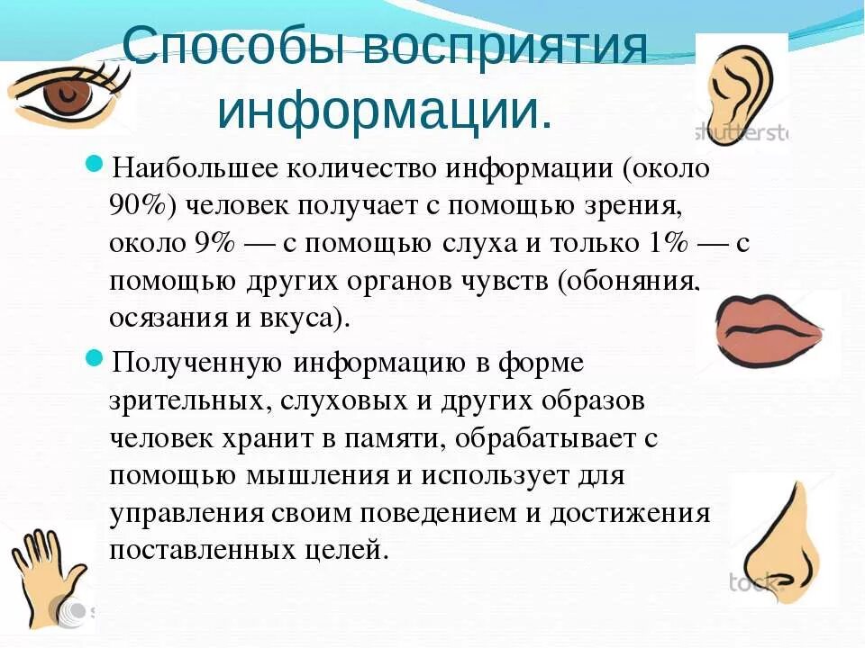 Восприятие информации человеком. Восприятие информации. Визуальный вид информации. Информация каналы восприятия и информации человека. Восприятие информации.
