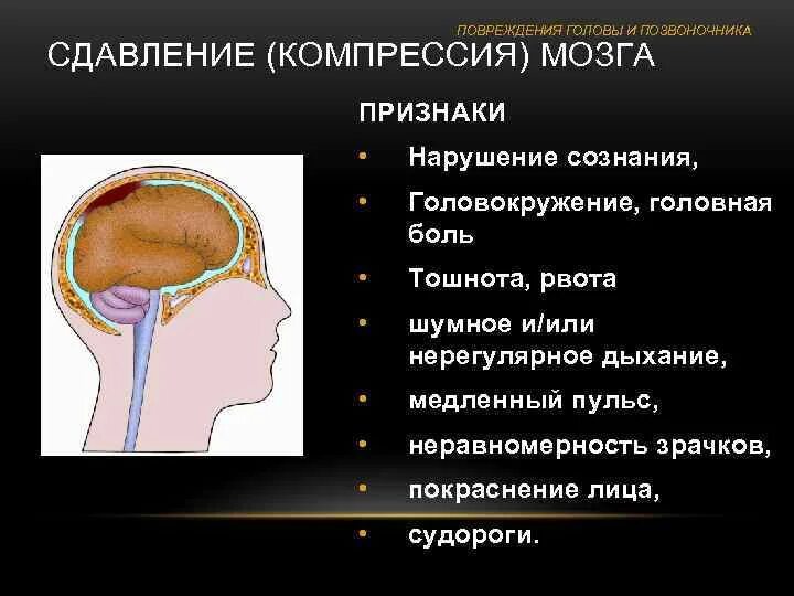 Травмы головы и позвоночника. Причины и признаки травм головы и позвоночника. Ударился затылком болит голова