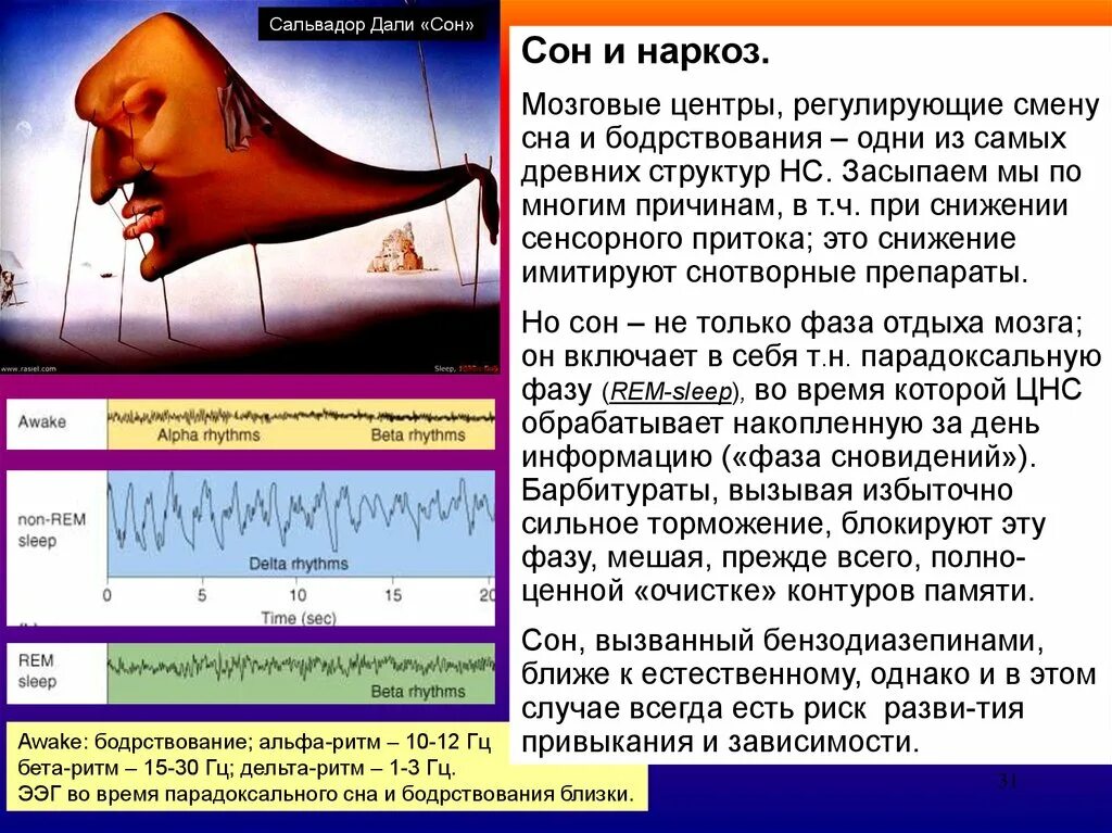 Сон наркоз. Сон и бодрствование. центры сна и бодрствования. гамк и сон. ритм парадоксального сна.