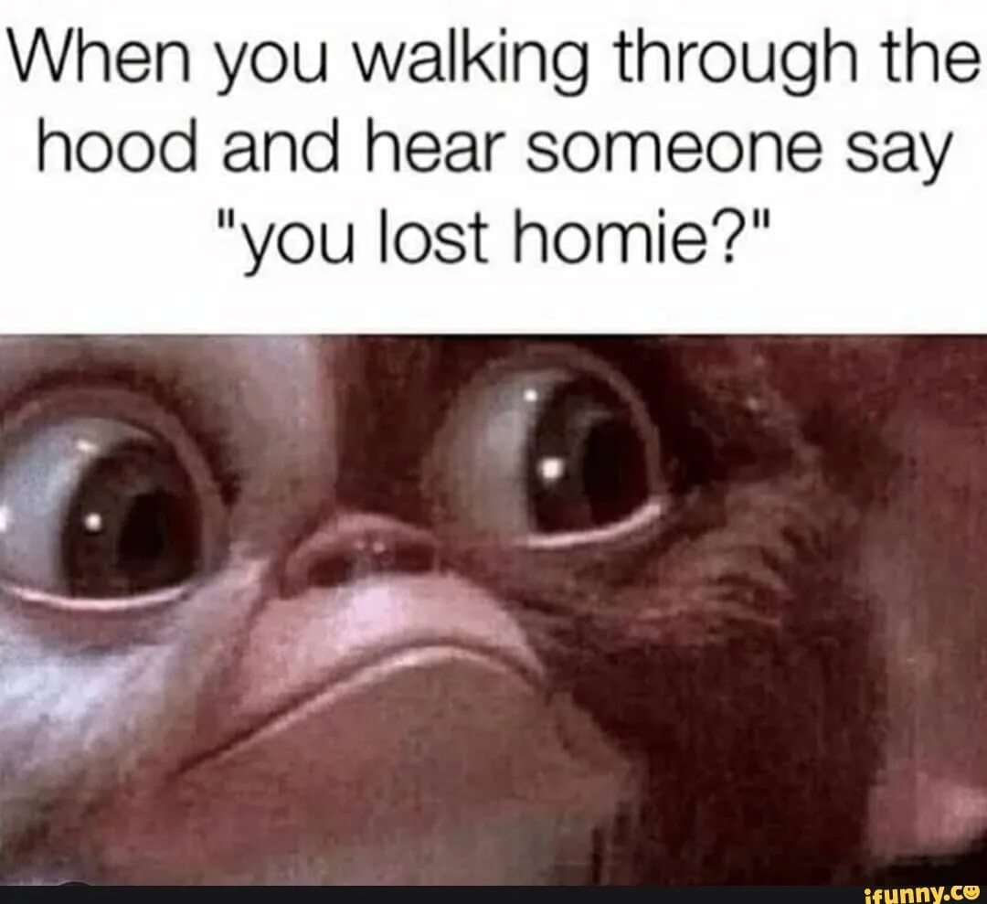 It really do be like that. When you Walking meme. It would be funny if it weren't so Sad. When you Walking Telegram. When you Walking in the Hood and you smell.