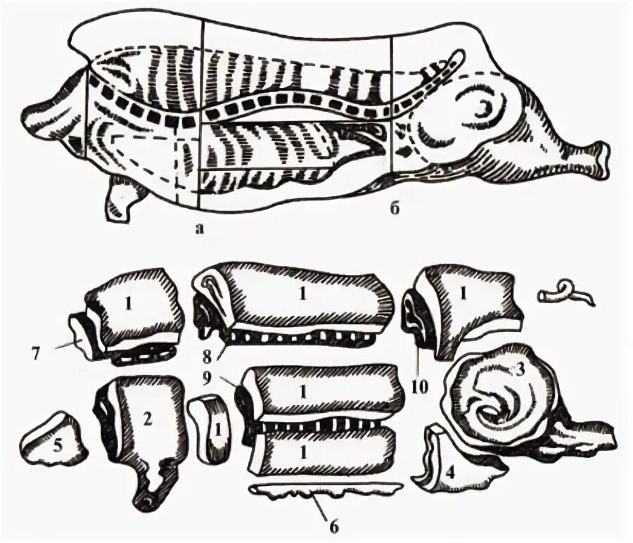 5 свиных туш. Схема убоя свиней в шею. Свинина крестьянский разруб. Схема разруба свинины.
