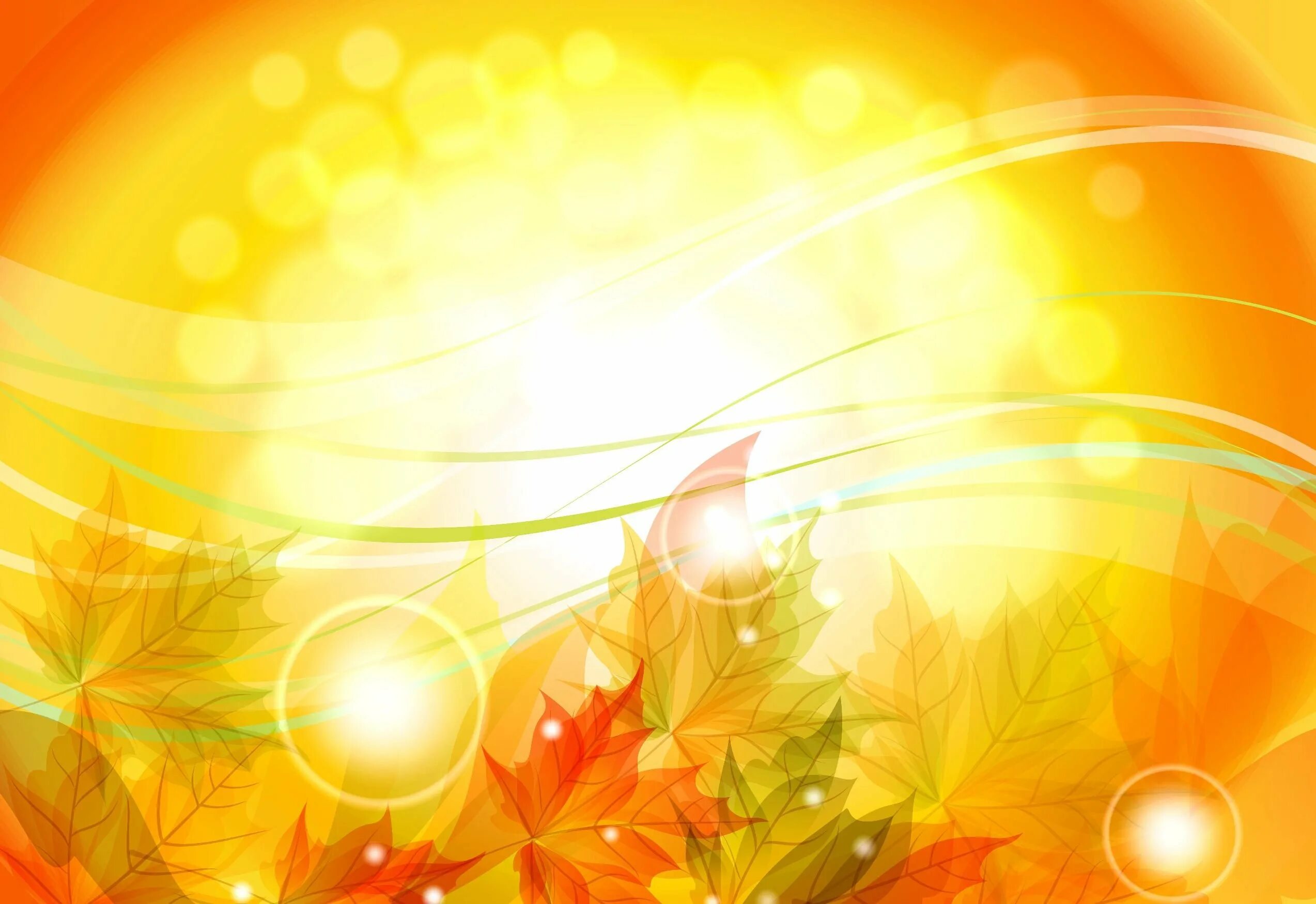 Фон осень. Рамки на день учителя красивые. День пожилых рамка. Рамка для надписи осенняя. Осенняя рамка для текста детская.