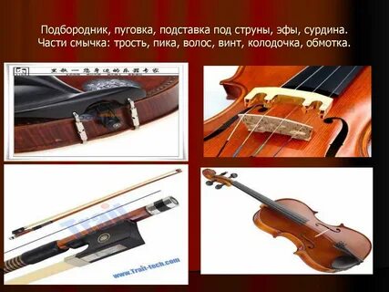 Как выбрать скрипку