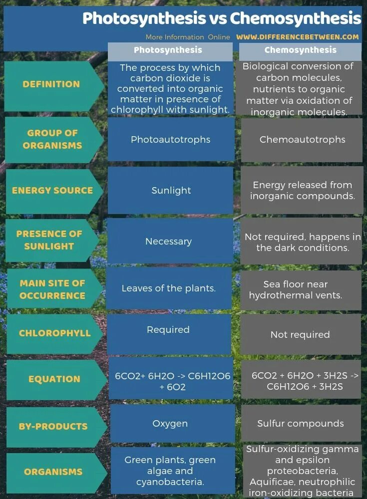 Difference between c and c