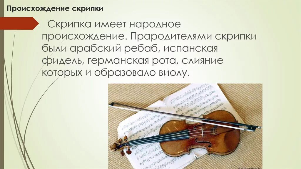Возникновение скрипки. История происхождения скрипки. Интересные скрипки. Происхождение скрипки