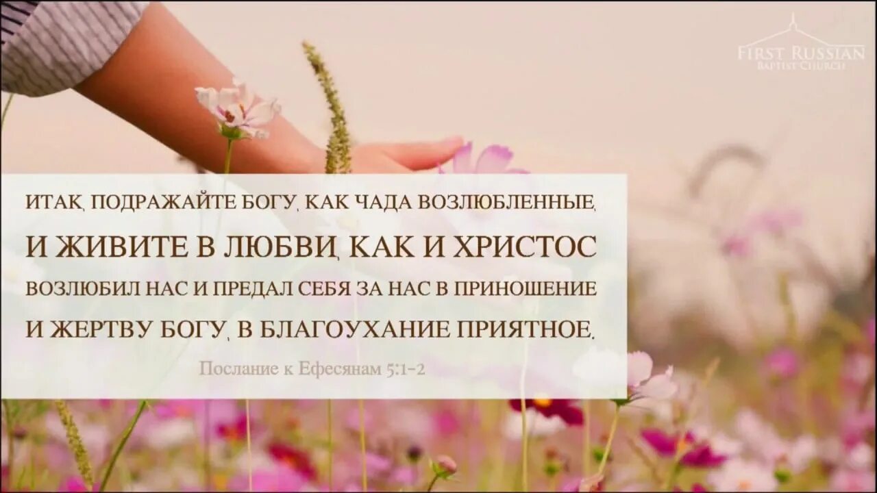 " иисус. иисус христос и дети. и живите в любви как и христос возлюбил нас. итак подражайте богу как чада возлюбленные и живите в любви. иисус христос царство небесное.