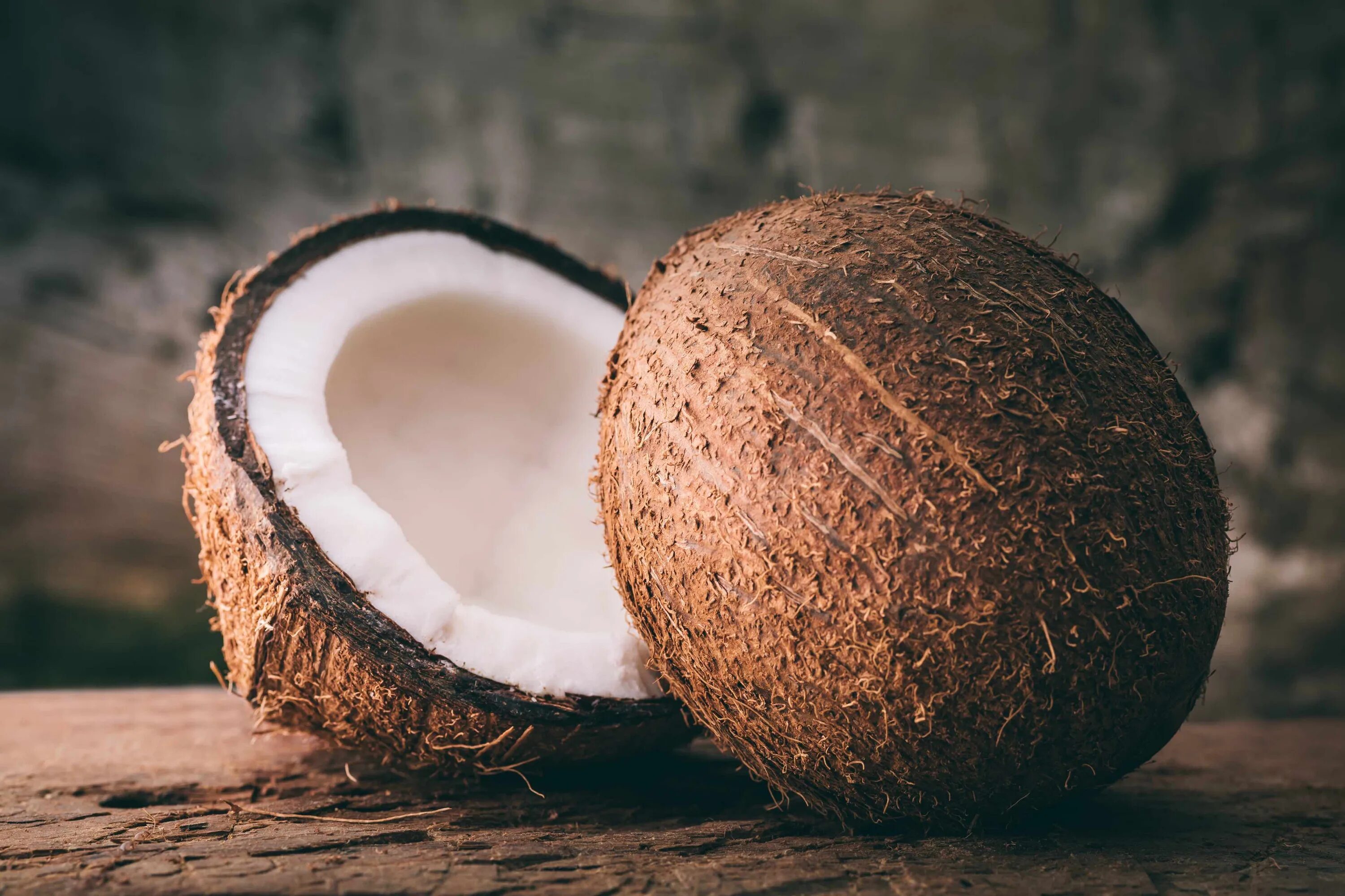 кокосовый орех. викос кокос. кокосовый дал. коконат кокос. кокосовый дал.